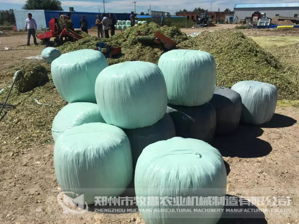 秸稈打捆機展示會(huì ).jpg