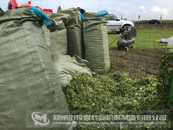 青貯打包機青貯發(fā)酵.jpg