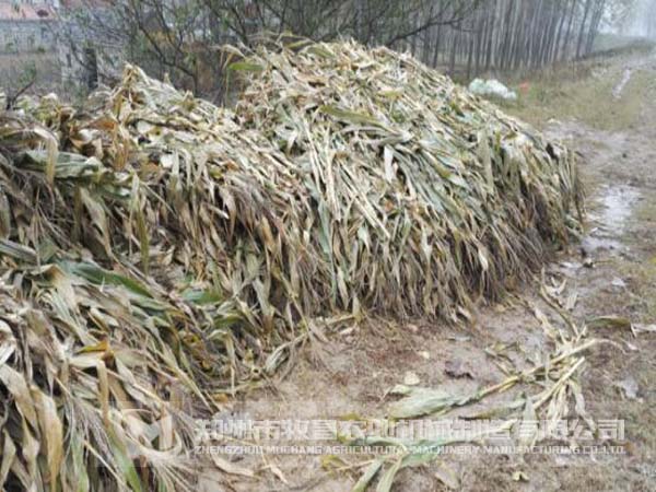 客戶現(xiàn)場1.jpg